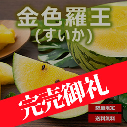 【一富士】金色羅王（すいか）