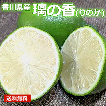 【8月下旬以降のお届け予定】[香川県産] 璃の香(りのか)