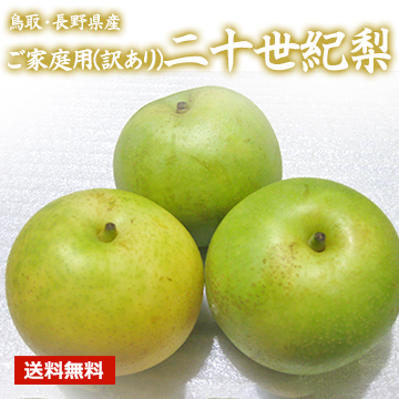 【8月下旬以降のお届け予定】[鳥取・長野県産] ご家庭用(訳あり)二十世紀梨