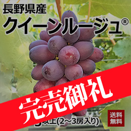 【8月中旬以降のお届け予定】[長野県産]クイーンルージュ® 約800g以上（2〜3房入り）