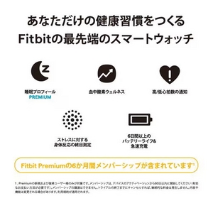 Fitbit FB521BKGB-FRCJK スマートウォッチ Fitbit Sense 2 シャドーグレー／グラファイトアルミニウム