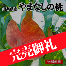【一富士】[山梨県産]やまなしの桃 
