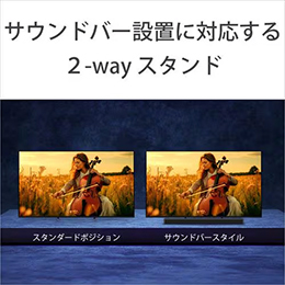 <Panasonic>パナソニック TV-55W90B 55型 高輝度 4K液晶テレビ VIERA
