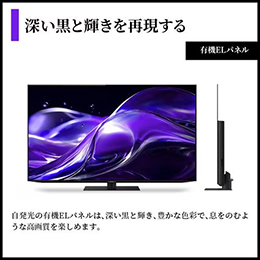 【無料長期保証1+3年付き】 SHARP 4T-C55HQ2 55V型 有機ELテレビ AQUOS OLED