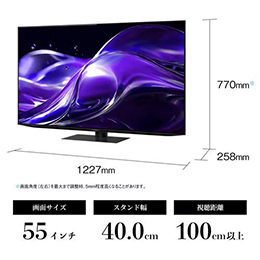 【無料長期保証1+3年付き】 SHARP 4T-C55HQ2 55V型 有機ELテレビ AQUOS OLED