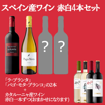 【酒】スペイン産ワイン 赤白4本セット
