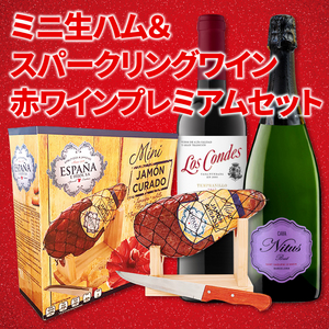 【酒】ミニ生ハムと赤ワイン・スパークリングワインのプレミアムセット