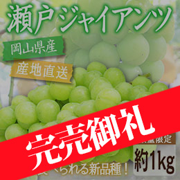 [香川県産]瀬戸ジャイアンツ