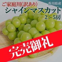 [香川県産]ご家庭用(訳あり)シャインマスカット 約2kg