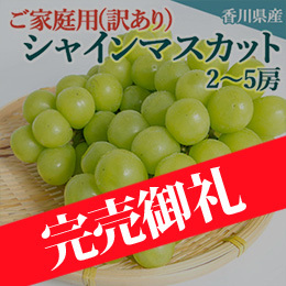 [香川県産]ご家庭用(訳あり)シャインマスカット 約2kg