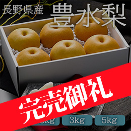 【9月上旬以降のお届け予定】■[長野県産] 豊水梨