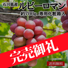 【一富士】[石川県産]ルビーロマン 約700g1房 専用化粧箱入
