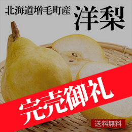 [北海道増毛町産]洋梨 約2.5kg