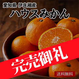 【一富士】[愛知県伊良湖産]ハウスみかん