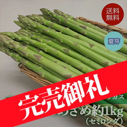 [香川県産]訳ありさぬきのめざめ(セミロング)夏芽 約1kg