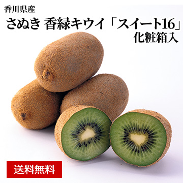 【11月下旬以降のお届け予定】[香川県産]香緑(こうりょく)キウイ 「スイート16」 約1.3kg 化粧箱入