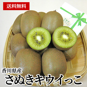 【11月中旬以降のお届け予定】[香川県産]さぬきキウイっこ® 約800g(15〜25個)