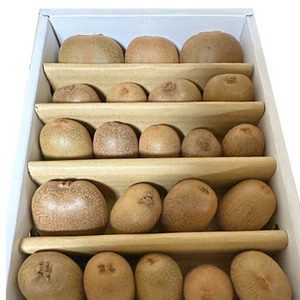 【11月中旬以降のお届け予定】[香川県産]さぬきキウイっこ® 約800g(15〜25個)