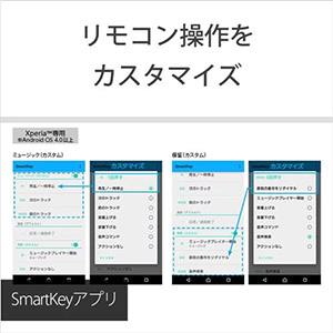 ソニー MDR-EX650AP-B スマートフォン対応 密閉型インイヤーレシーバー ブラスブラック