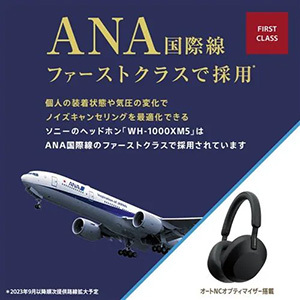 ソニー ワイヤレス ヘッドホン ハイレゾ ノイズキャンセリング 最大40時間 USB-C WH-1000XM5 BM ブラック系