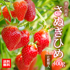 【2026年1月中旬以降のお届け予定】[香川県産]さぬきひめ 400g 化粧箱入り