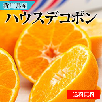 【12月中旬以降のお届け予定】[香川県産]ハウスデコポン