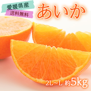 【11月下旬以降のお届け予定】[愛媛県産]あいか 約5kg