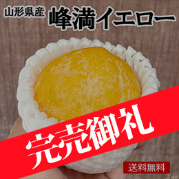 【一富士】【8月下旬以降のお届け予定】[山形県産]峰満イエロー(プラム)