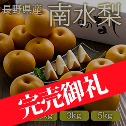 【10月上旬以降のお届け予定】■[長野県産] 南水梨
