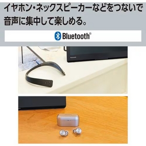 パナソニック UN-15L12H ポータブル地上・BS・110度CSデジタルテレビ ブラック UN15L12H