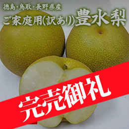 [徳島・鳥取・長野県産] ご家庭用(訳あり)豊水梨