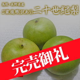 [鳥取・長野県産] ご家庭用(訳あり)二十世紀梨