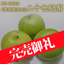 [鳥取・長野県産] ご家庭用(訳あり)二十世紀梨