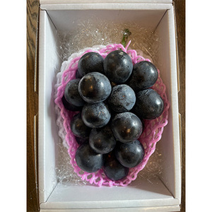 【11月下旬以降のお届け予定】[一富士][長野県産]ナガノパープル 約600〜700g 1房 化粧箱入