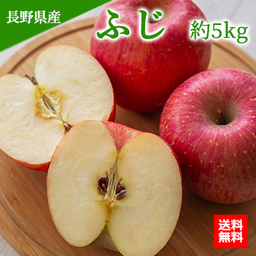 【11月下旬以降のお届け予定】[一富士][長野県産]ふじ 約5kg(14玉〜18玉) 