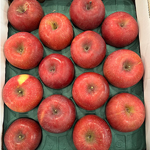 【11月下旬以降のお届け予定】[一富士][長野県産]ふじ 約5kg(14玉〜18玉) 