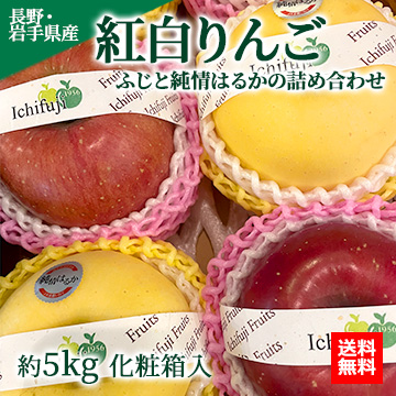 【11月下旬以降のお届け予定】[一富士][長野・岩手県産]紅白りんご(ふじと純情はるかの詰め合わせ) 約5kg 化粧箱入