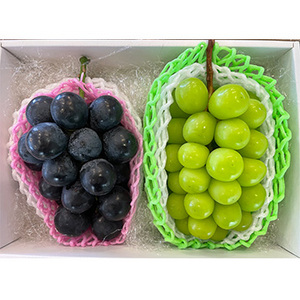 【11月中旬以降のお届け予定】[一富士][長野県産]シャインマスカット・ナガノパープル セット 化粧箱入