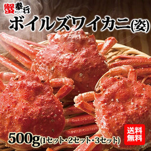 [蟹奉行]ボイルズワイカニ(姿) 