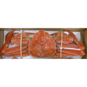 [蟹奉行]ボイルズワイカニ(姿) 