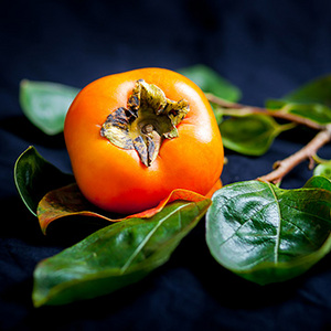 【11月上旬以降のお届け予定】[一富士][石川県産]紋平柿 約3kg 化粧箱入