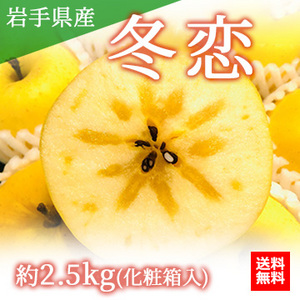 【12月中旬以降のお届け予定】[一富士][岩手県産]冬恋(りんご) 化粧箱入 約2.5kg