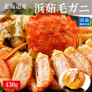 [北海道産]浜茹で毛ガニ 約430g（2尾セット、３尾セット、4尾セット）