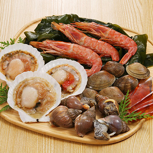 北海道郷土鍋　「貝だし」海鮮鍋