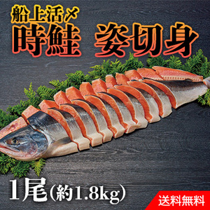 北海道日高沖　船上活〆時鮭姿切身