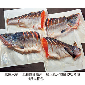 北海道日高沖　船上活〆時鮭姿切身