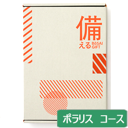カタログギフト　備える 防災カタログ　＜ポラリス＞