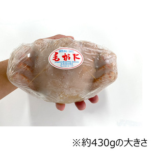 [北海道産]浜茹で毛ガニ 約430g（2尾セット、３尾セット、4尾セット）