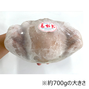 [北海道産]浜茹で毛ガニ 約700g（１尾セット、2尾セット、3尾セット）