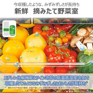 東芝 冷蔵庫 601L 6ドア 観音開き 幅 68.5cm 摘みたて野菜室 速鮮チルド ベジータ GR-Y600FK(EC) ゴールド系